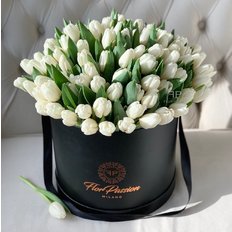 White Tulips | Online Flowers Shop Milan | FlorPassion