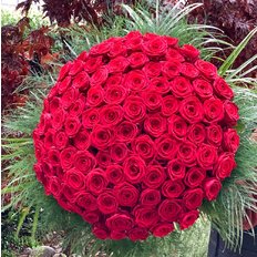 101 Red Naomi Bouquet