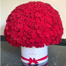 500 Red Roses FlorPassion Box