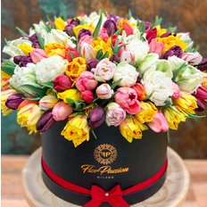 Scatola Tulipani km0 | Fiori sostenibili stagionali | FlorPassion Box