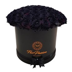 Black Roses Box | Million Black Roses Milan FlorPassion