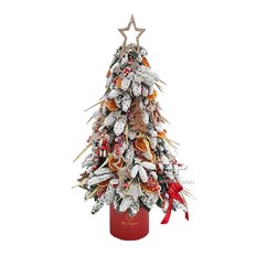 Christmas Tree Box