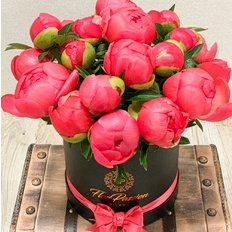 Lovely Coral Peonies Box