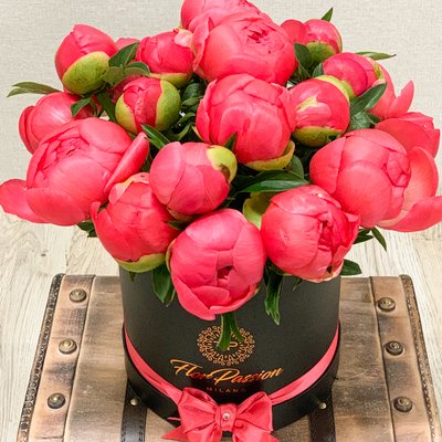 Lovely Coral Peonies Box