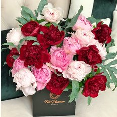 Peonia Bloom Box