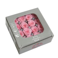 Pink Preserved Roses, 16pcs