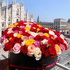 Rose Multicolore San Valentino | Consegna Rose Milano Monza Como | Scatola Cuore Rose