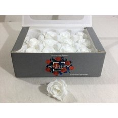 White Preserved Mini Roses, 12pcs